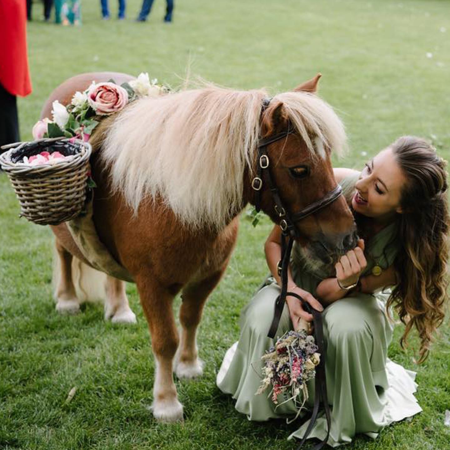 animals at weddings, Jack Brock, confetti pony