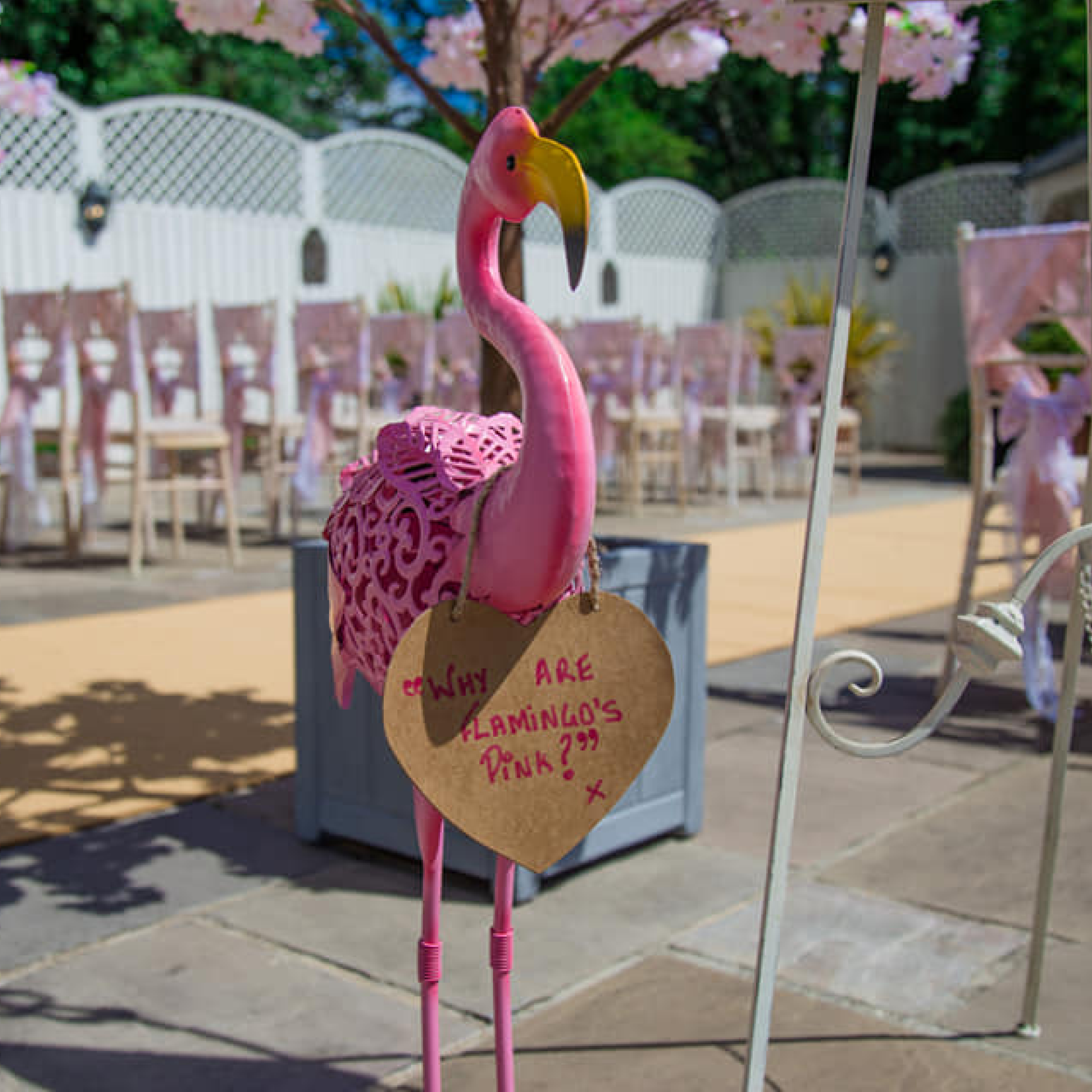 wedding flamingo, pink summer wedding